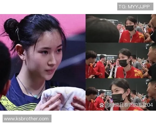 朱俊龙：从青涩少年到乒乓球新星的成长之路与奋斗故事